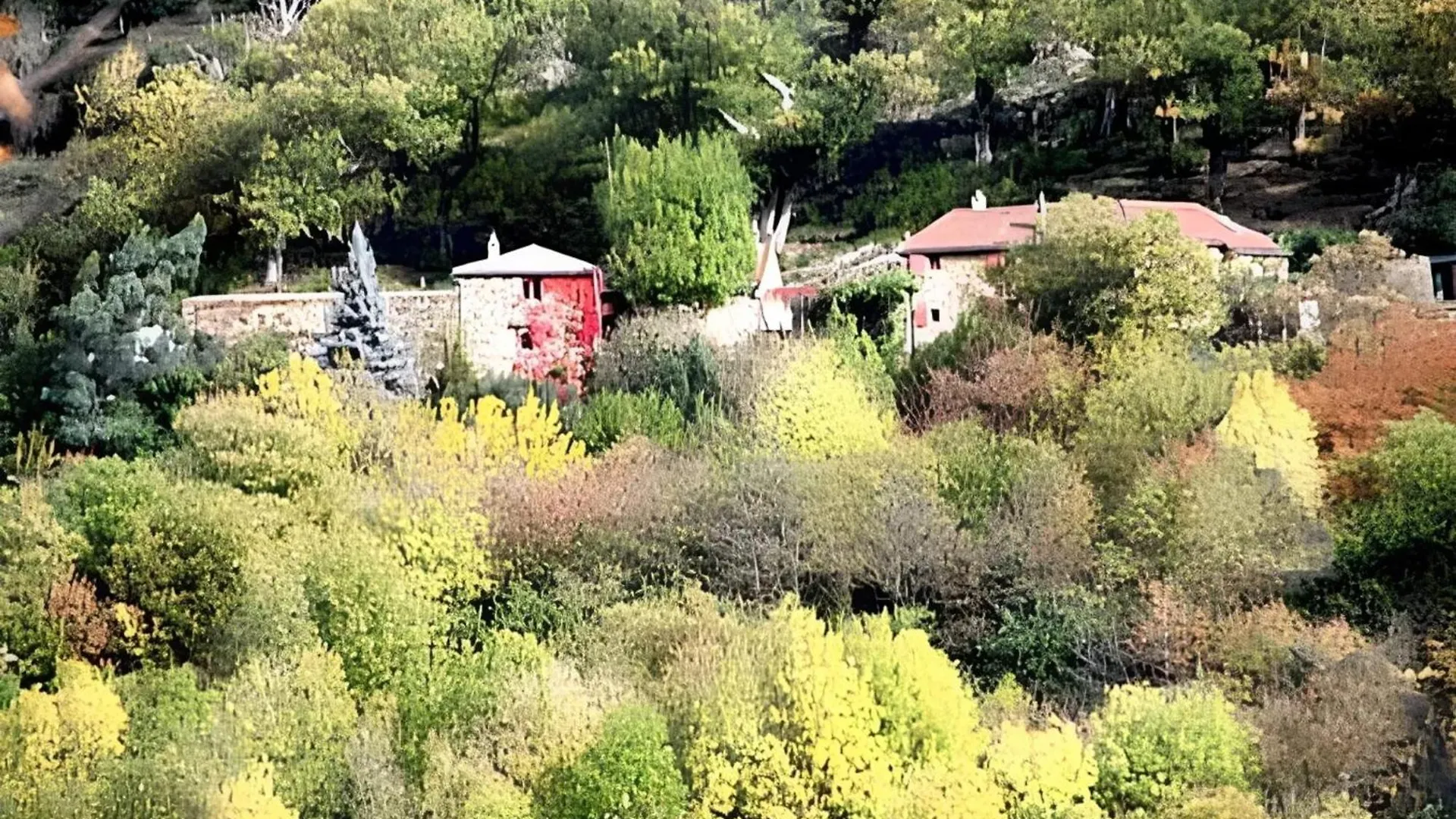 Maison Cosy Avec Vue Sur La Montagne A Dompnac, Cheminee 0*, Dompnac